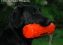 Mutt at the Park 001.jpg